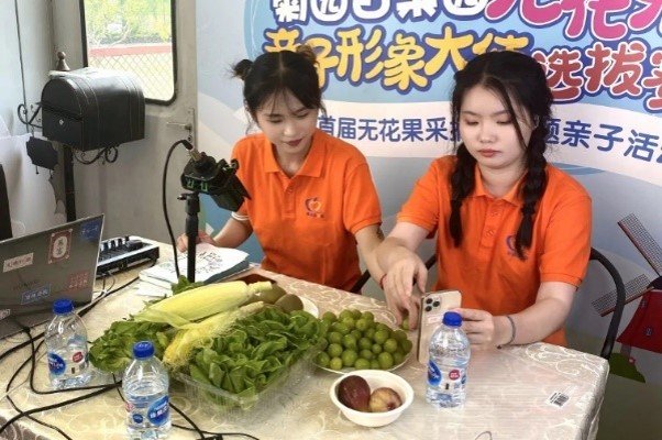 移动互联应用技术